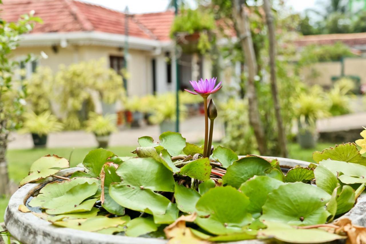 Merlyn Villa Negombo Luaran gambar